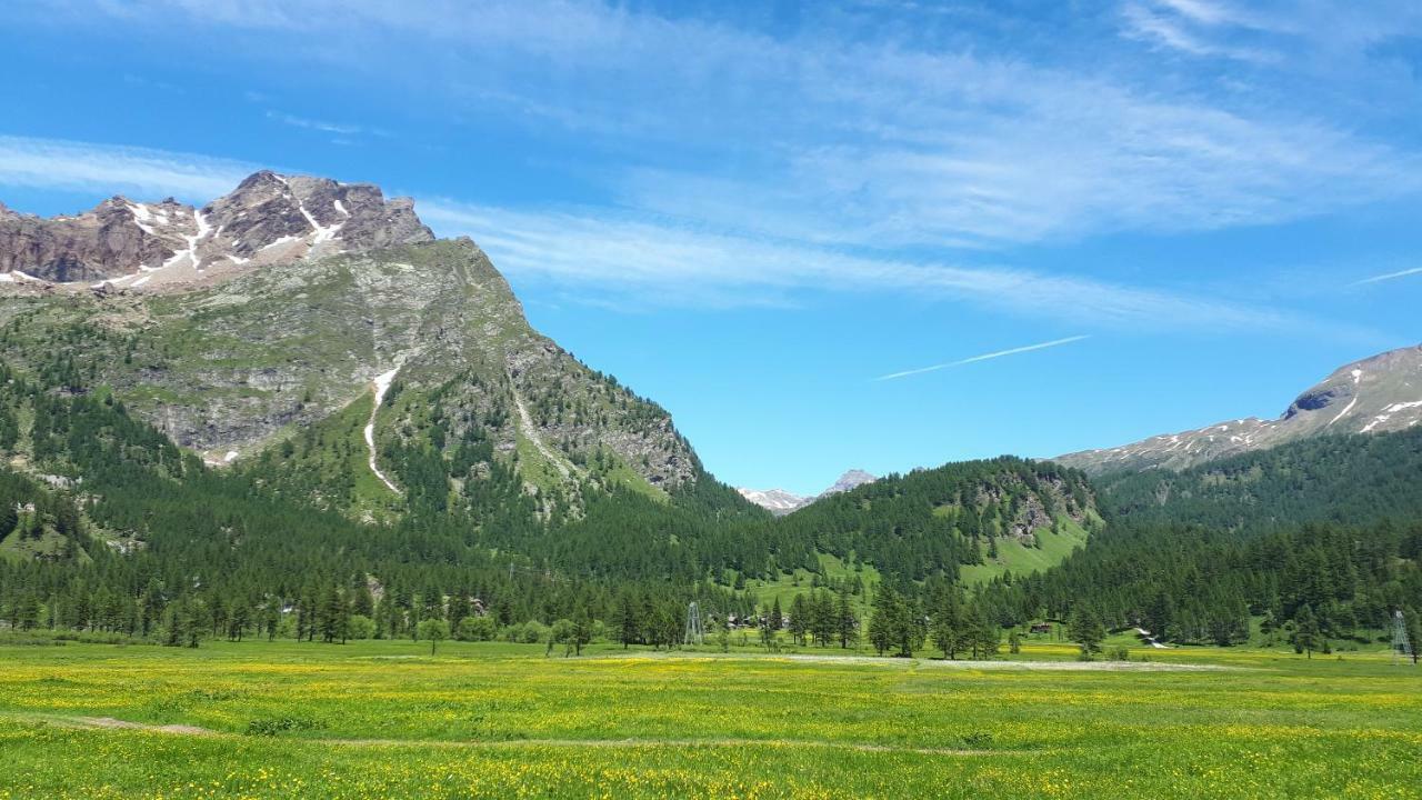 La Piana Appartamenti Alpe Devero Ngoại thất bức ảnh